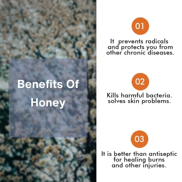 ORGANIC ACACIA HONEY - Image 3