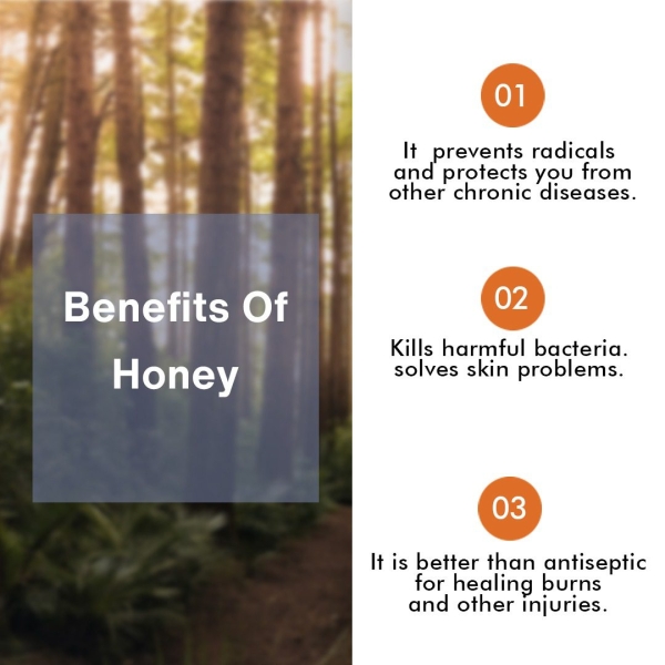 BLACK FOREST HONEY - Image 3