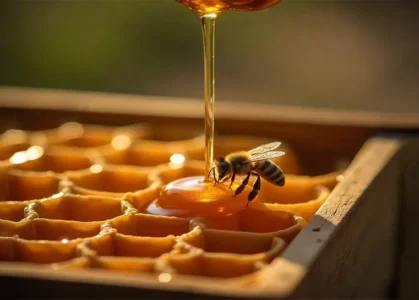 honeyman-from-home-to-live honeyman-from-home-to-live